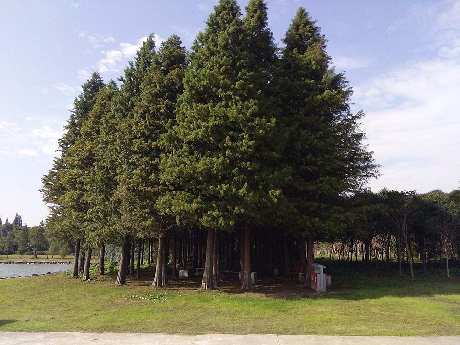 公司團(tuán)建行者拓展推薦丨崇明島國(guó)家地質(zhì)公園